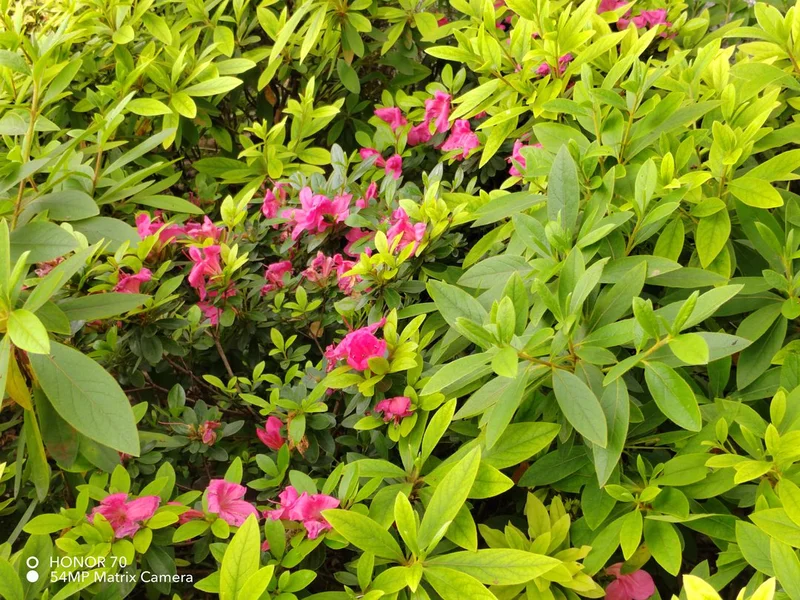 公墓服务内容概述