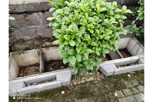 山城公墓网，服务更暖心