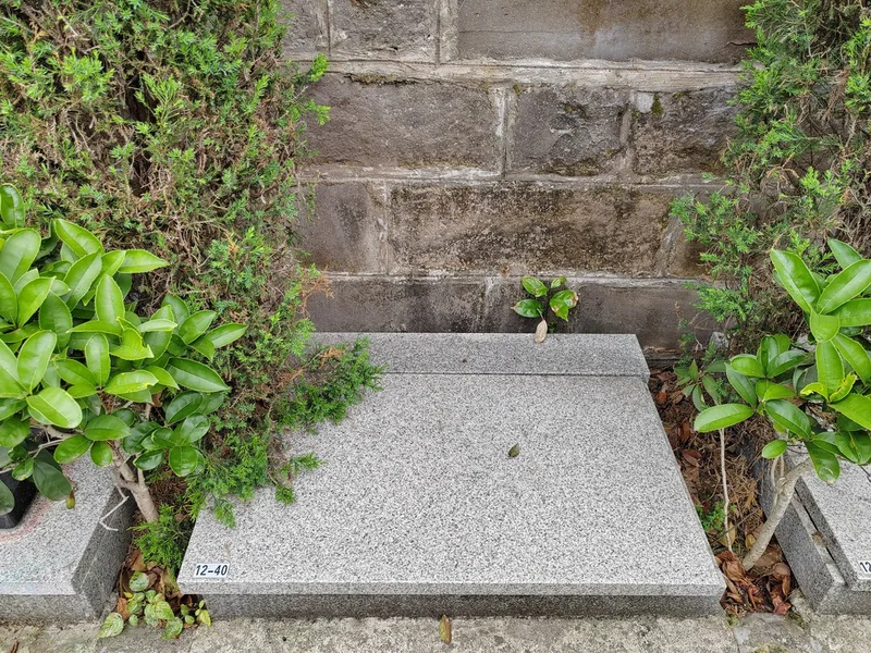 thumb_IMG_20230421_113030